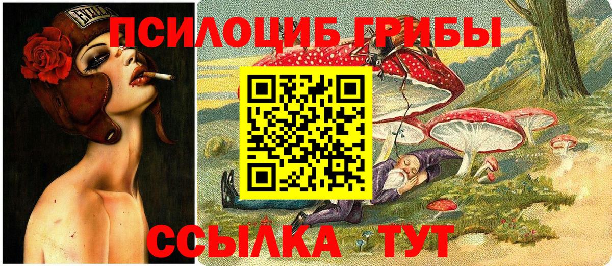 Галлюциногенные грибы Psilocybine cubensis  Вход с VPN  Галлюциногенные грибы мухоморы  Дедовск 