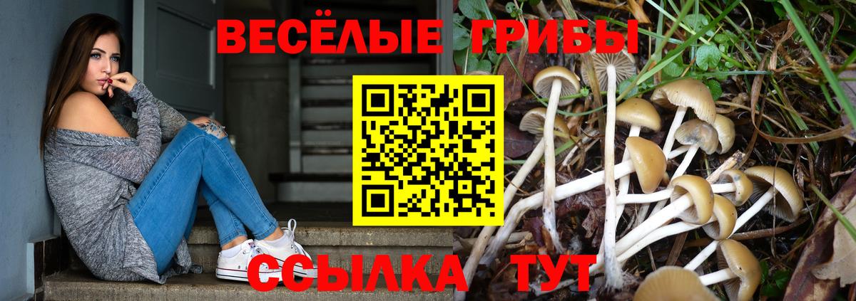 Галлюциногенные грибы Magic Shrooms Дедовск